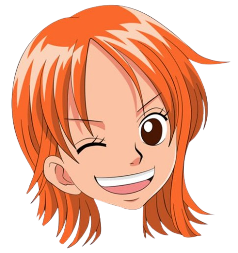 Tête de Nami